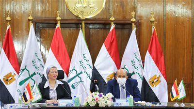 ياسمين فؤاد: البيئة أصبحت محور اهتمام الدولة والجهات القضائية