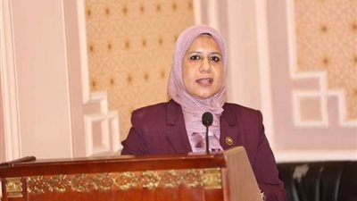 إسكان النواب توصي بسرعة إنهاء مشروع الصرف الصحي بالمنشأة في سوهاج