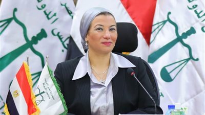ياسمين فؤاد تستعرض بعض أحكام مجلس الدولة في حل قضايا البيئة 
