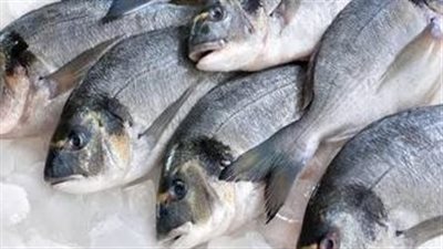استقرار أسعار الأسماك اليوم الإثنين 10 يناير 2022