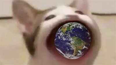 تفاصيل لعبة بوب كات التي ووصفها البعض بـ الحرب العالمية الثالثة | وتصنيف مصر في عدد النقرات 