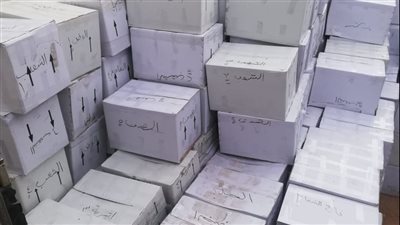 جمارك السلوم تضبط محاولة تهريب كمية كبيرة من الأدوية البشرية