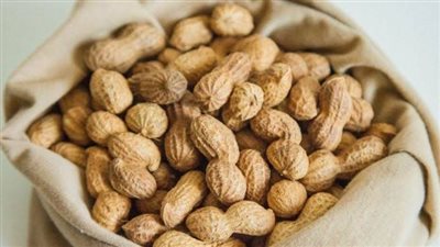 تفاصيل ضبط 16 طن فول سوداني وأسمدة زراعية قبل بيعها بالسوق السوداء بالشرقية