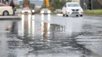 انخفاض الحرارة وأمطار خفيفة.. حالة الطقس في مدينة العلمين | فيديو