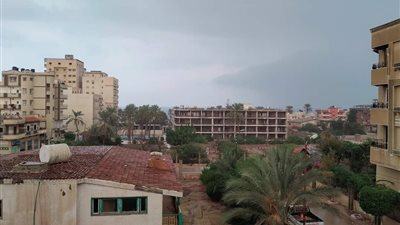 سقوط أمطار غزيرة على شمال سيناء.. والمحافظة ترفع الطوارئ 