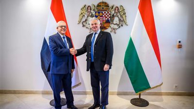 رئيس مجلس النواب يلتقي نائب رئيس الوزراء المجري │ صور