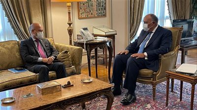 شكري يبحث مع وزير خارجية مدغشقر العلاقات الثنائية ومؤتمر الكوميسا | صور