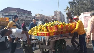 حملات مكثفة لرفع وإزالة الإشغالات والتعديات من شوارع محافظة بورسعيد | صور 