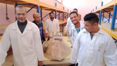 الآثار: نقل 332 قطعة أثرية من مخزن مدينة البهنسا إلى الأشمونين | صور 