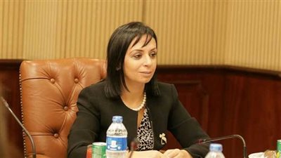 لجنة المرأة الريفية تنظم زيارة إلى محافظة المنيا