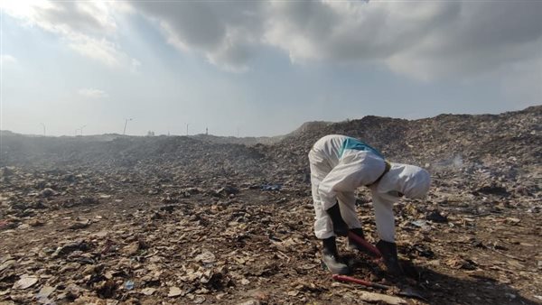 حي الزهور ببورسعيد