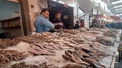 تعرف على أسعار الأسماك اليوم الأحد 13 فبراير 2022 في الأسواق المصرية