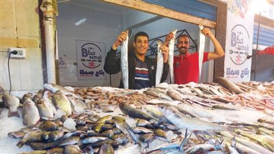 البلطي بـ 22.. تعرف علي أسعار الأسماك اليوم في السوق المحلي