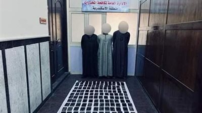 ضبط تشكيل عصابي تخصص في الاتجار بالمخدرات بالإسكندرية