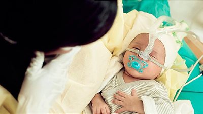 رئيس لجنة مكافحة كورونا: لن نغلق المدارس بسبب الفيروس المخلوي التنفسي 