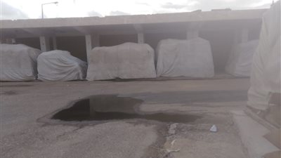 المركزية لإنتاج التقاوي ترفع حالة التأهب لحماية محطاتها من الأمطار