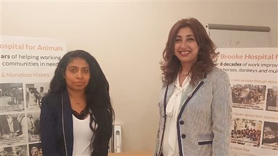 مدير مستشفى بروك تكشف لـ القاهرة 24 كواليس زيارة الأميرة كاميلا | صور