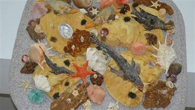 يضم عينات منذ آلاف السنين.. متحف علم الحيوان بأزهر أسيوط ضمن أفضل متاحف جامعات مصر |صور