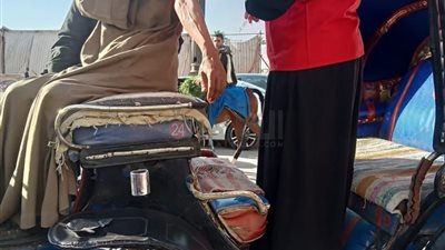 توفير لقاح كورونا بـ49 وحدة وتطعيم أصحاب الحناطير.. كيف استعدت الأقصر للموسم السياحي؟