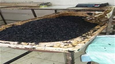 ضبط مصنع معسل مغشوش يقلد ماركات مملوكة للغير بسوهاج