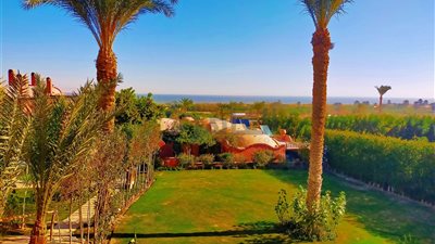 تحسن نسبي في درجات الحرارة بالفيوم العظمى 22 الصغرى 13