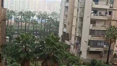 بث مباشر | أمطار غزيرة في وسط الإسكندرية بالتزامن مع استئناف الدراسة