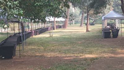 حديقة الأورمان تستعد لتنظيم مهرجان العسل المصري بعد غد بمشاركة 100 عارض | صور