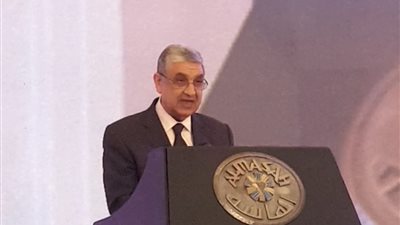 شاكر: مصر تعمل بقوة في اتجاه تعزيز مشروعات الربط الكهربائي