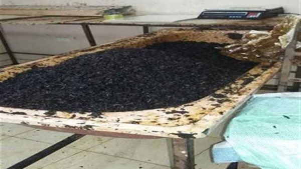 ضبط معسل مغشوش- أرشيفية