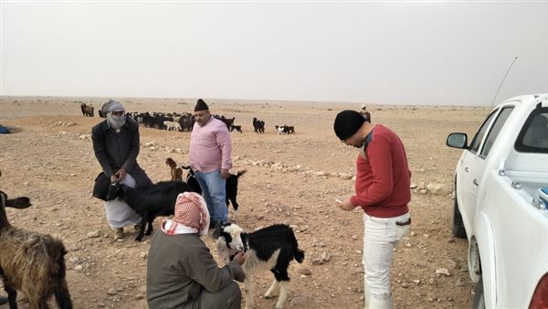 قوافل طبية بمطروح