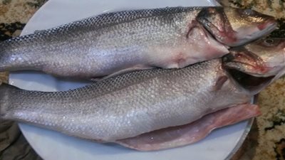 أسعار الأسماك تواصل استقرارها اليوم الثلاثاء 23-11-2021