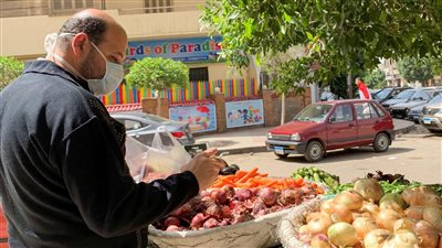 وزارة التخطيط: التضخم المصري لا يزال في الحدود الآمنة 