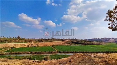 طقس الجمعة في الفيوم.. ارتفاع درجات الحرارة والعظمى تسجل 26