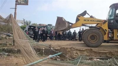 إزالة 103 حالات تعد على الزراعات وأراضي أملاك الدولة بالشرقية | صور