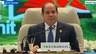 السيسي: تحقيق التكامل الاقتصادي والإقليمي للكوميسا يستلزم إفساح المجال للقطاع الخاص