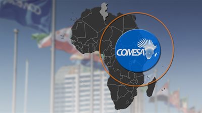 أستاذ اقتصاد: فكرة التكامل الإفريقي ظهرت في القارة السمراء قبل إنشاء الاتحاد الأوروبي