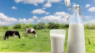 4 جنيهات للكيلو.. 20% زيادة جديدة في أسعار منتجات الألبان