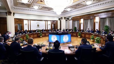 الوزراء ينشر جهود الدولة في مكافحة الإدمان خلال الفترة من 2014 إلى 2021 | انفوجراف