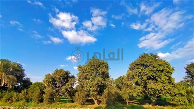 تحسن الأحوال الجوية والعظمى 23 درجة.. طقس الجمعة في الفيوم