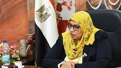 نائب محافظ أسوان: 1560 منزلاً حصيلة المباني المتضررة من السيول 