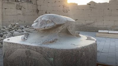 يُطلق على الخنافس.. تعرف على أهمية الجعران في مصر القديمة 