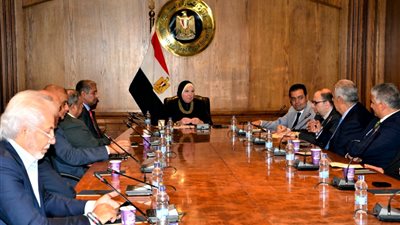 وزيرة الصناعة: دوائر الأعمال البحرينية أمام فرصة مميزة للاستثمار في السوق المصري