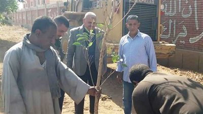 زراعة أكثر من 22 ألف شجرة بمراكز ومدن سوهاج خلال 20 يوما