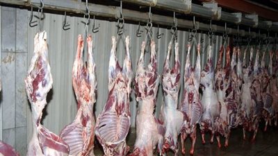 بعد سؤال تامر أمين عن أكلها.. أزهري: أكل الحمير حرام شرعًا ولحم الخيل استخبثه المصريون