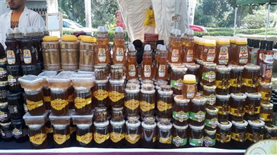 اليوم.. انطلاق فعاليات اليوم الثالث من مهرجان العسل بحديقة الأورمان 