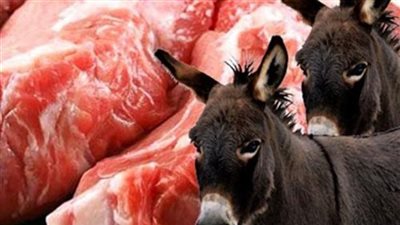 تفاصيل العثور على 13 حمارًا مذبوحًا ومسلوخًا ببني سويف | بث مباشر