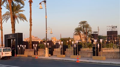 زهرة اللوتس تزين شوارع الأقصر احتفالا بـ افتتاح طريق الكباش