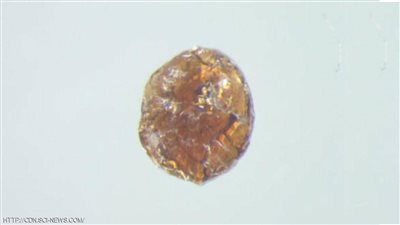 وداعًا مشكلة تحطم الشاشات.. علماء يبتكرون زجاجا فائق الصلابة