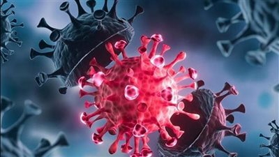 سفير القاهرة في جنوب إفريقيا يكشف حقيقة وجود إصابات بمتحور أوميكرون بين الجالية المصرية 