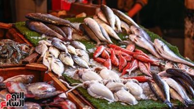 استقرار أسعار الأسماك اليوم السبت 27-11-2021